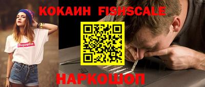 гидропоника Камышлов
