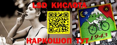 гидропоника Камышлов